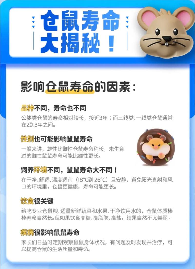 哪种仓鼠品种寿命最长，养仓鼠有哪些潜在危害？