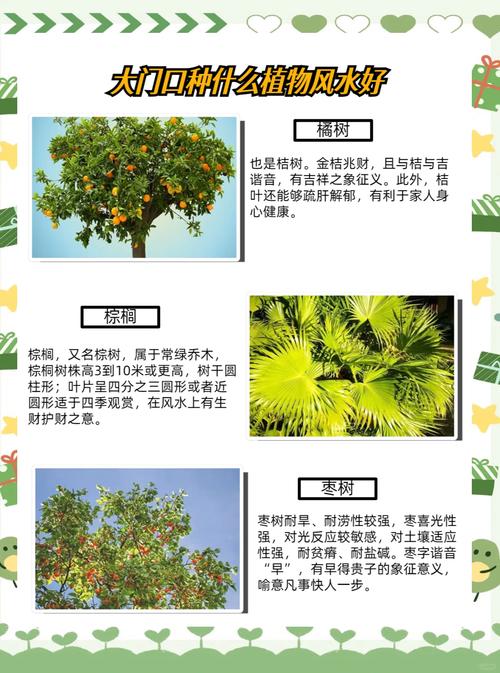 门前种树对风水有好处吗？