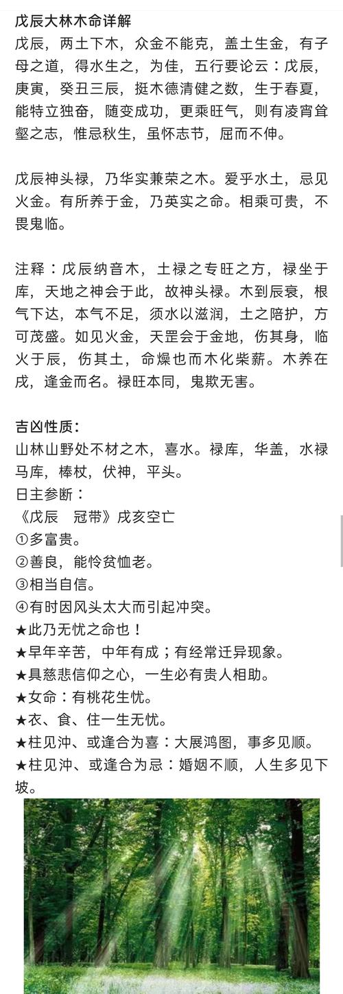 戊辰年为什么被称为大林木命，这个命理含义具体是什么？