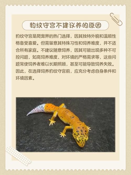 养什么都不活是何命运，养不活宠物的人属何种命格？