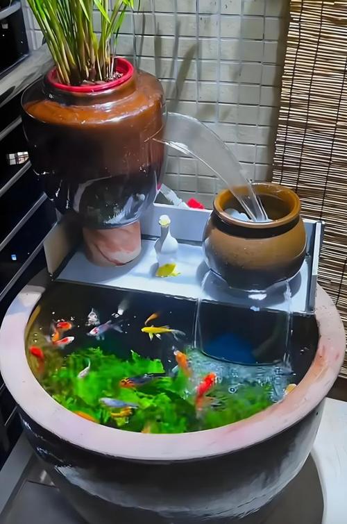 风水水槽里可依放置哪些物品或物品？