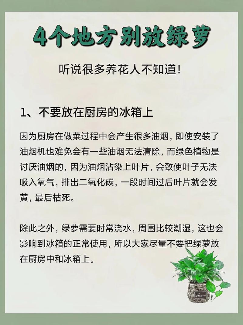 家里摆放绿萝是否符合风水原则，有什么讲究吗？