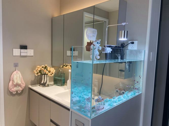 卫生间摆放风水鱼缸是否合适，有什么讲究和注意事项？