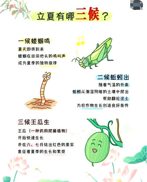 立夏这天为何传统上不建议睡觉？有什么特别的讲究吗？