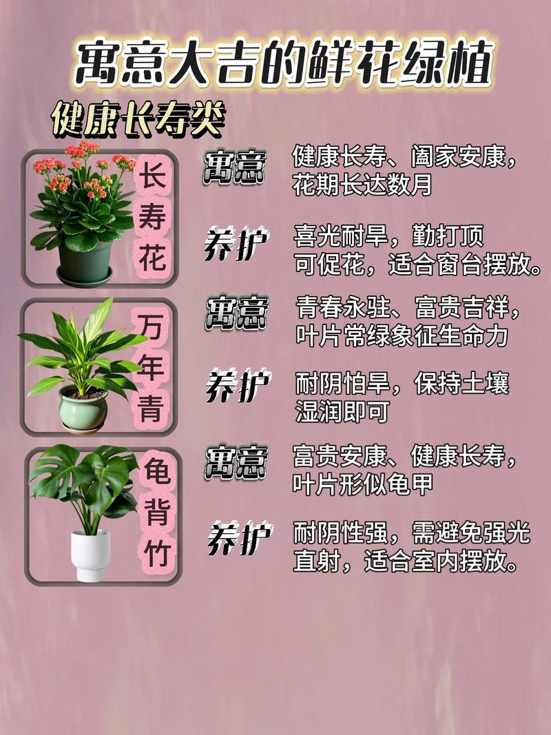 在屋前种植鲜花对风水有影响吗？