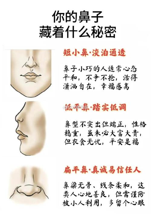 女生鼻子小意味着什么命运或特质？