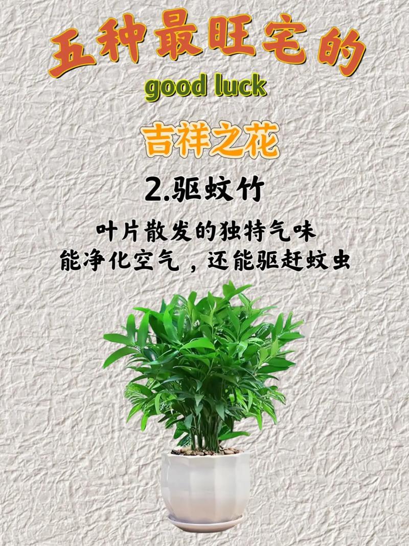 家里适合养花吗？这样的风水布局是否吉利？