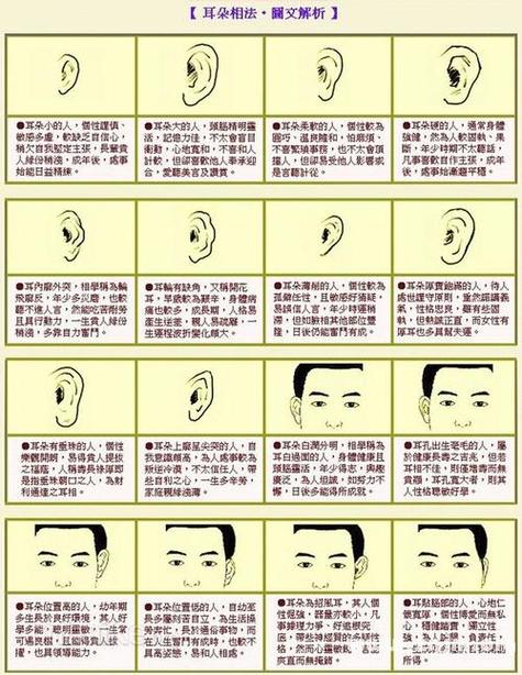男性耳朵尖和脑袋尖的人命运如何？