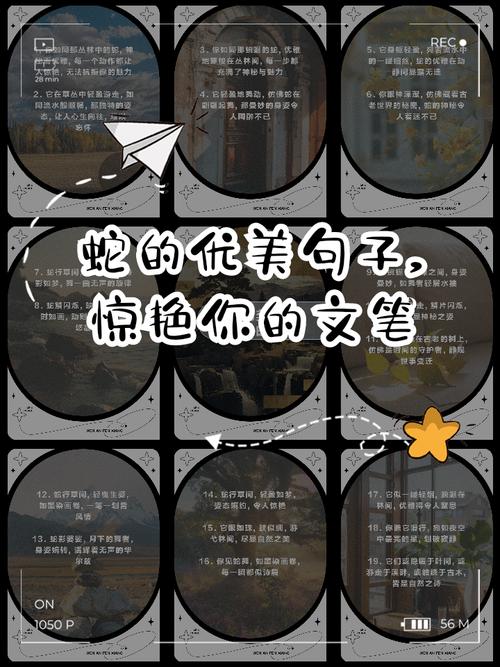 属蛇大林木命改写为好命，有什么好改写的长尾？