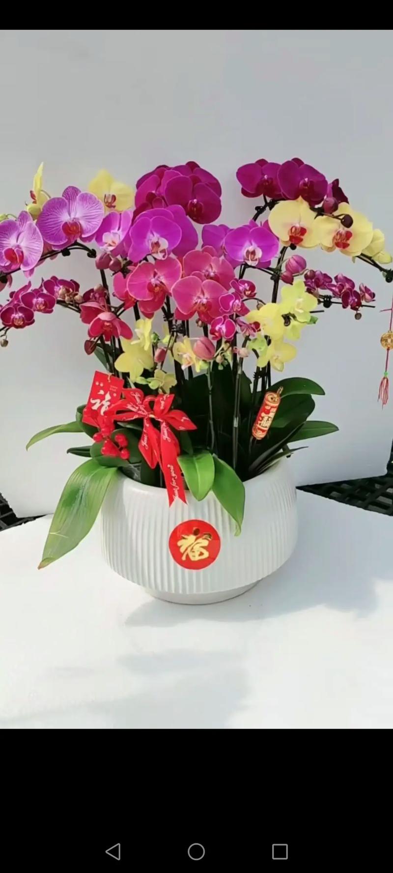 家里摆放工艺花对风水有影响吗？