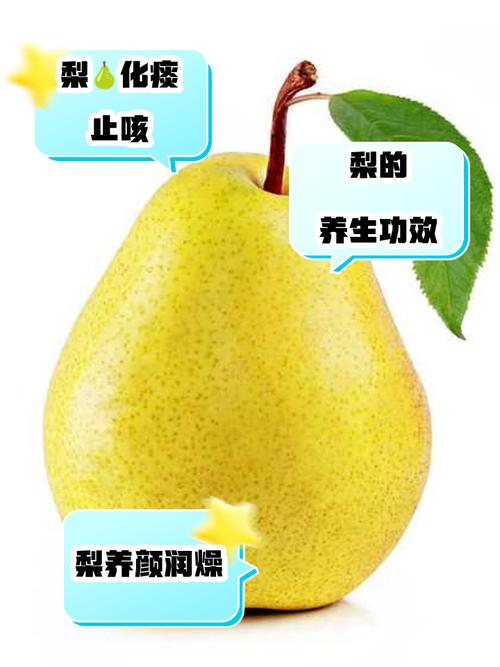 痛风水梨可以安全食用吗？它是否有毒？