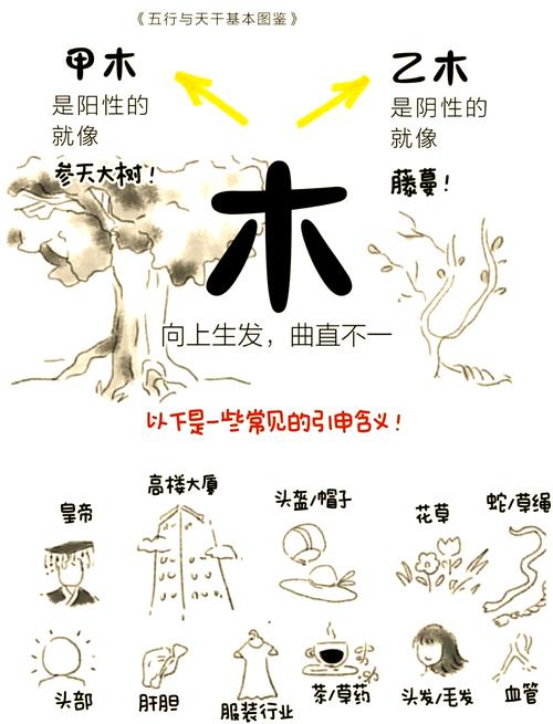 命里木命具体指什么？木命人应该如何命运？