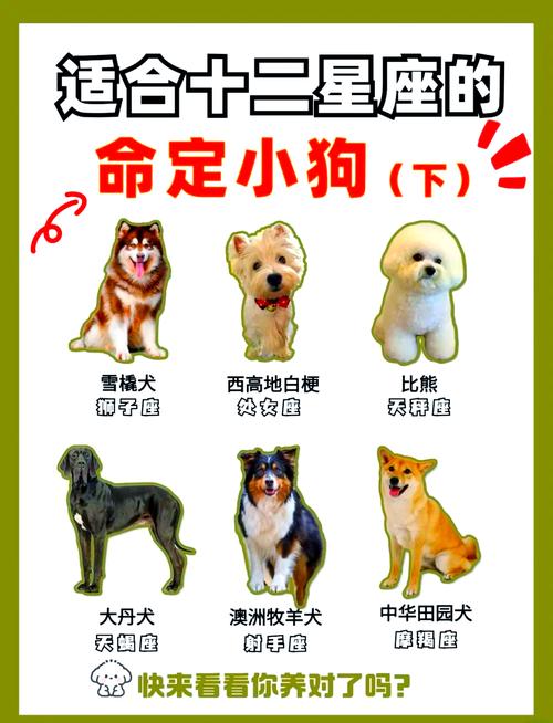 水命和木命适合养什么宠物？如何判断一个人的水命还是木命？