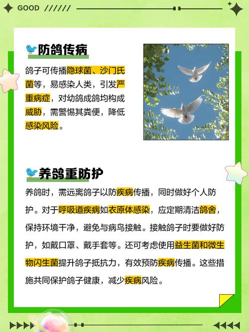 工厂养鸽子对周边风水环境有不良影响吗？