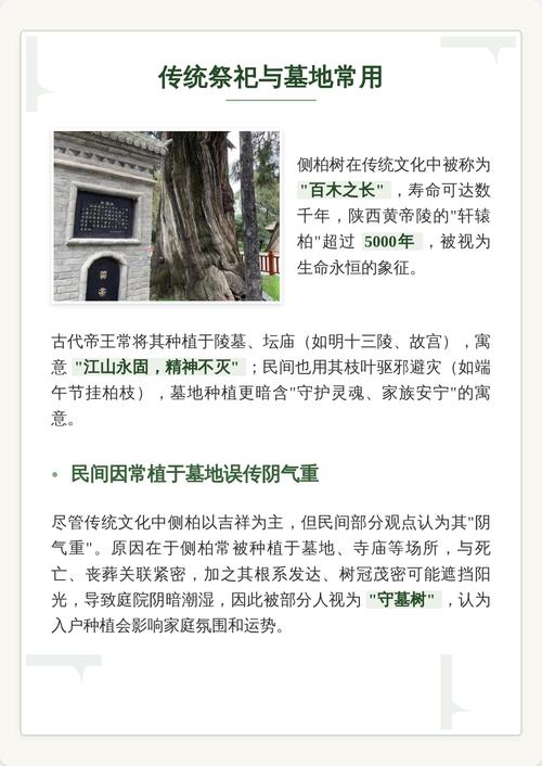 门前这棵大树的风水影响大吗，我能砍掉它吗？