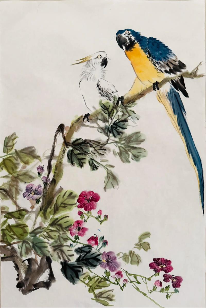 鹦鹉画像布置时是否需要考虑风水讲究？