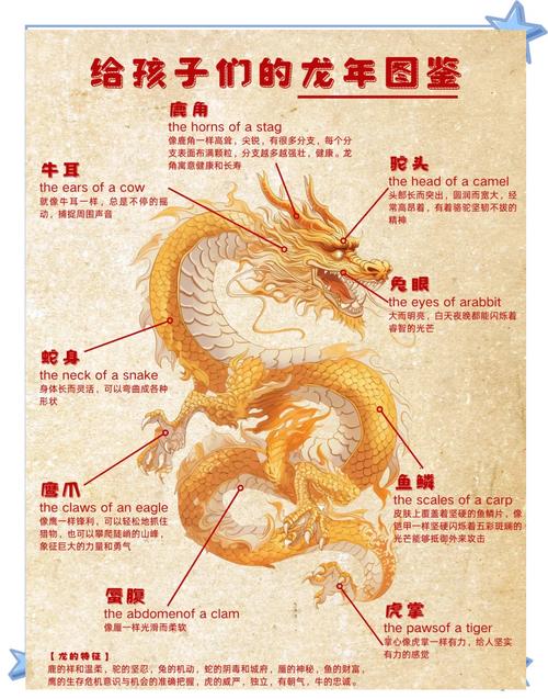 九命神龙是哪个生肖？天斗帝国九命神龙是什么生肖？