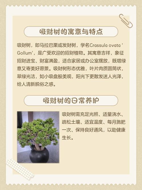 风水对植物生长的影响究竟有多大？