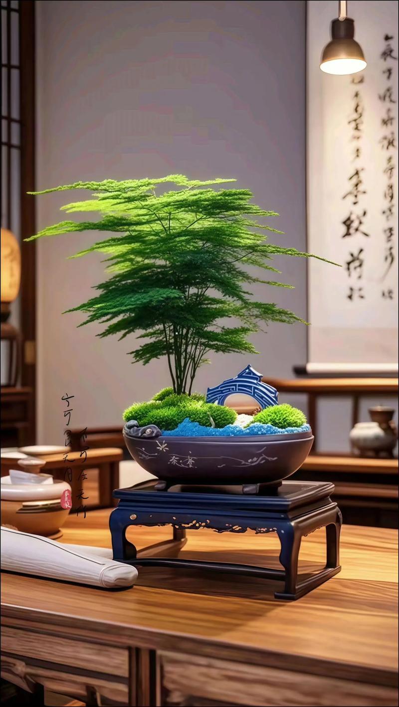 阳台种植文竹会对家居风水产生哪些影响？