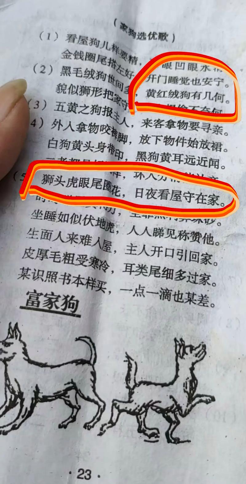 狗是什么命卦象？地卜是什么意思？图解？