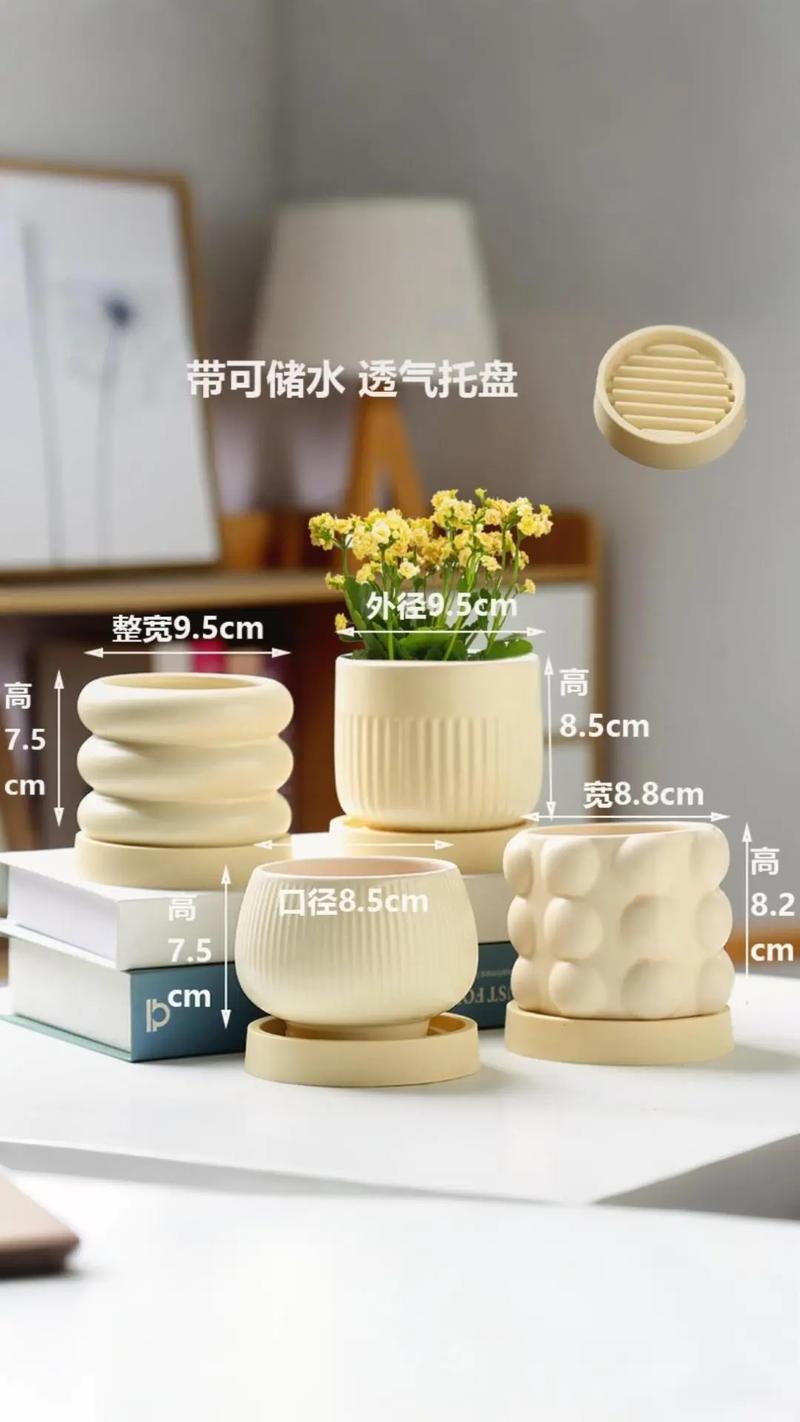 白色花盆对风水有怎样的影响或作用？