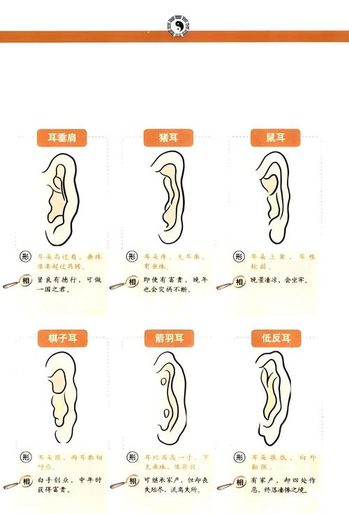耳朵尖的人命运如何？耳朵上尖尖代表什么含义？
