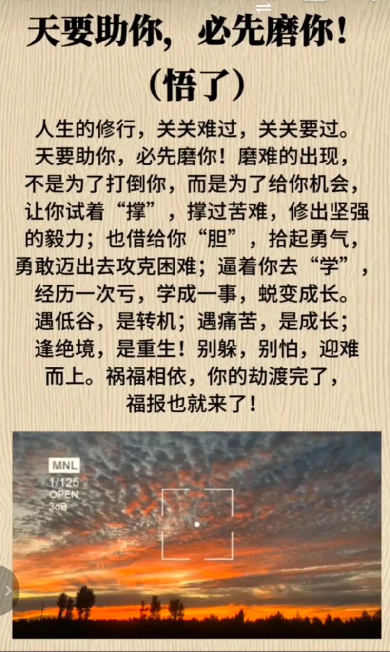 路人的命也是命，为何不能同等对待？