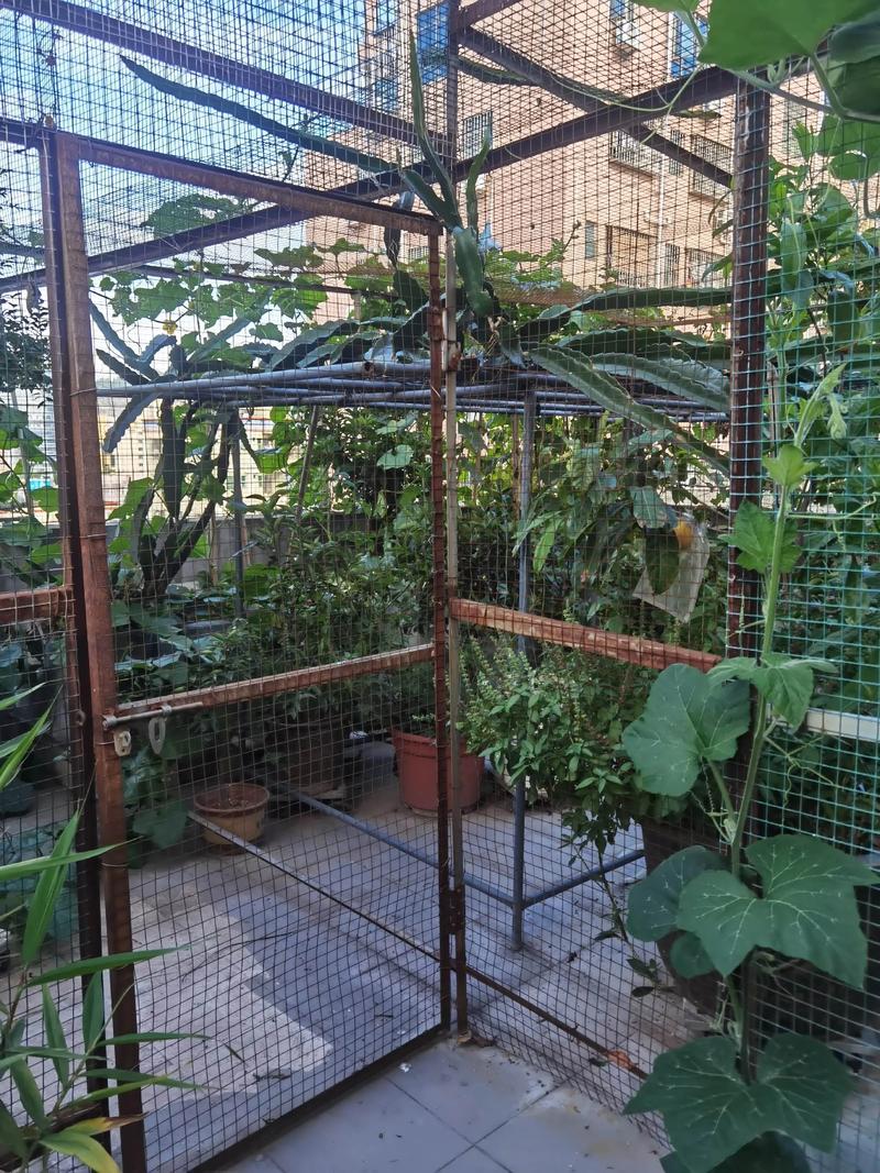 风水门对果园有怎样的影响或讲究呢？