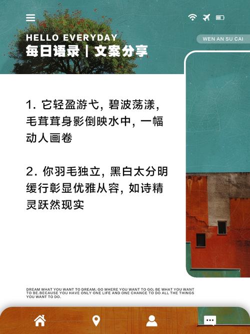 鸭子的命运能否为，使其成为？