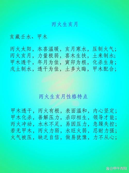 乙亥年属什么命？火命还是其他？丙子年又是什么命呢？