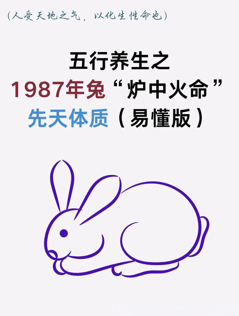 87年卯兔炉中火命适合从事哪种行业或生意？