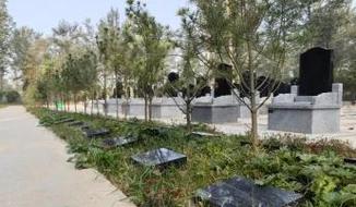 云南风水极佳的墓地价格是不是很昂贵？