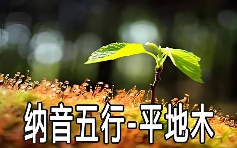 平地木命选哪个命格做干爹最吉祥？平地木命运势能否通过改命提升？