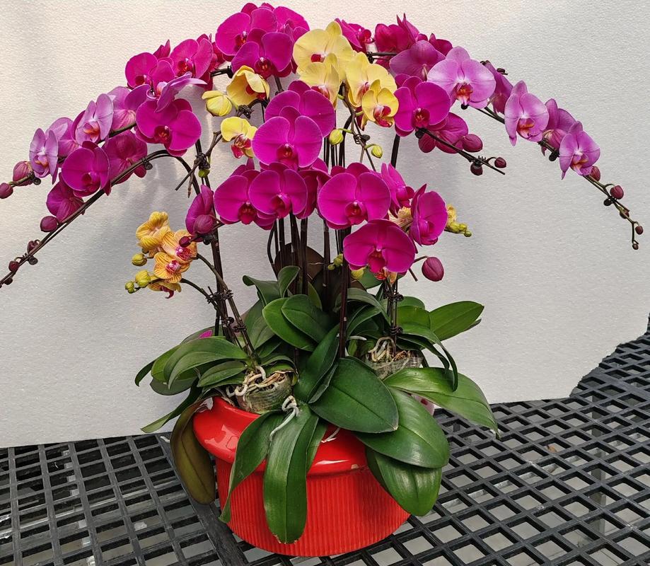 家里摆放工艺花对风水有影响吗？