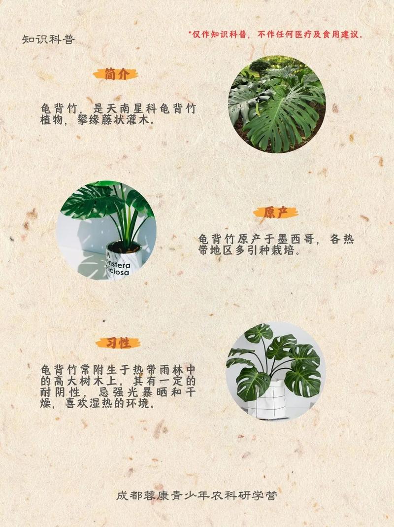 风水宝地是否适宜种植各种植物？