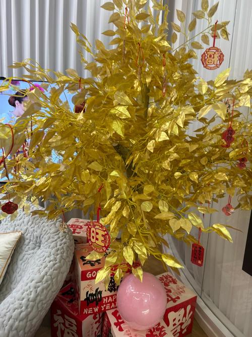 白蜡金命家里摆放什么物品最旺？