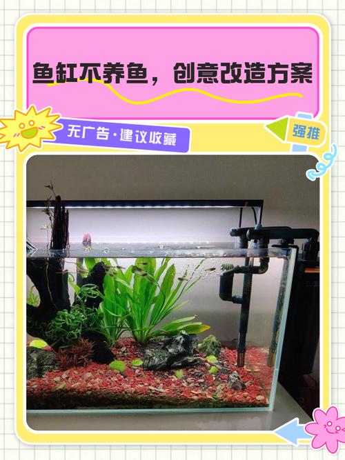 鱼缸大鱼少是否会对家居风水产生不良影响呢？