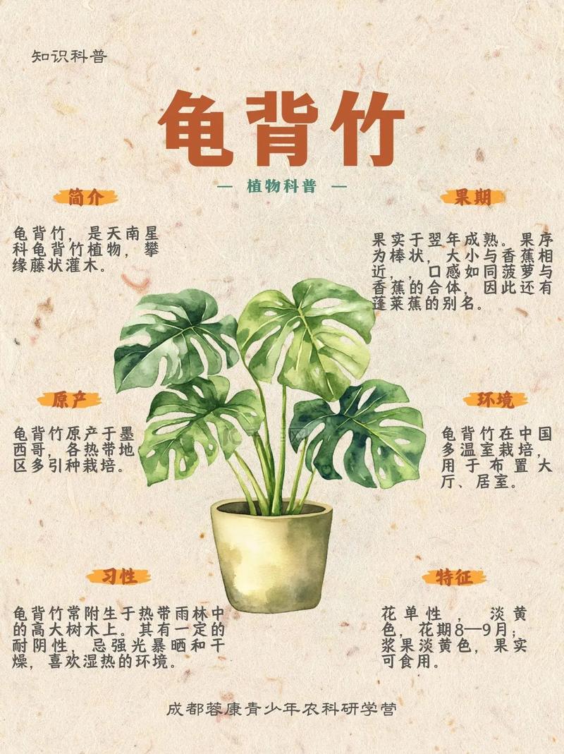 风水宝地是否适宜种植各种植物？