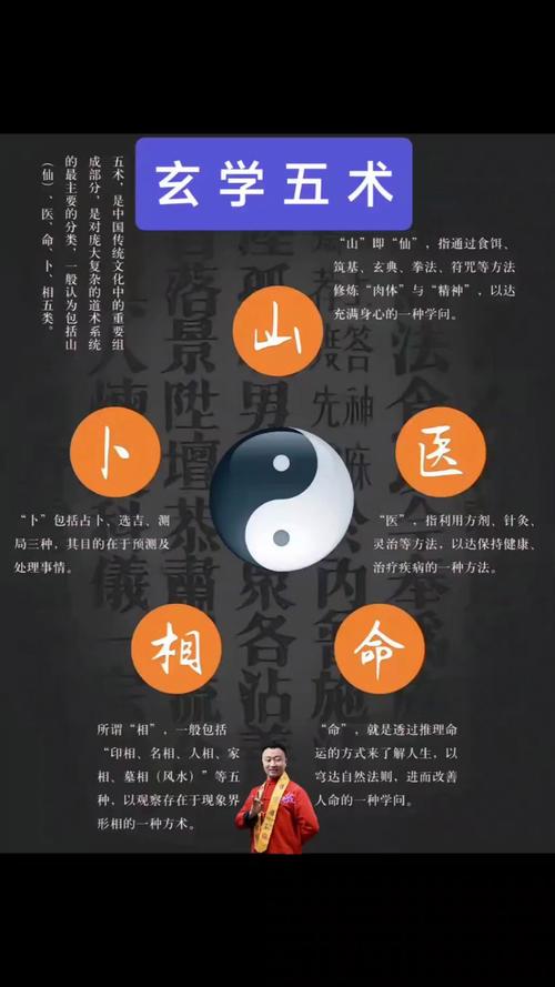 中医与命理学之间究竟有何紧密联系？