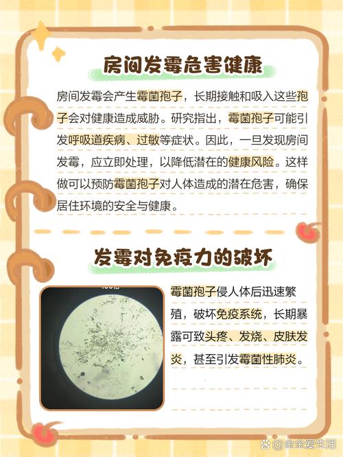 家具发霉会对家居风水产生怎样的不良影响呢？