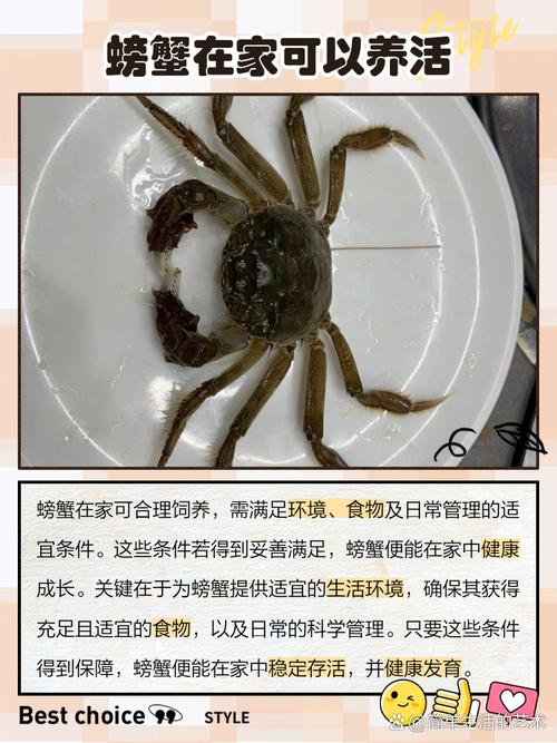 家里养螃蟹会影响家居风水吗？