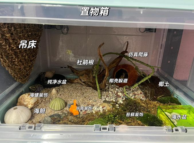 房间适合养蟹吗？这样的风水布局是否吉利？