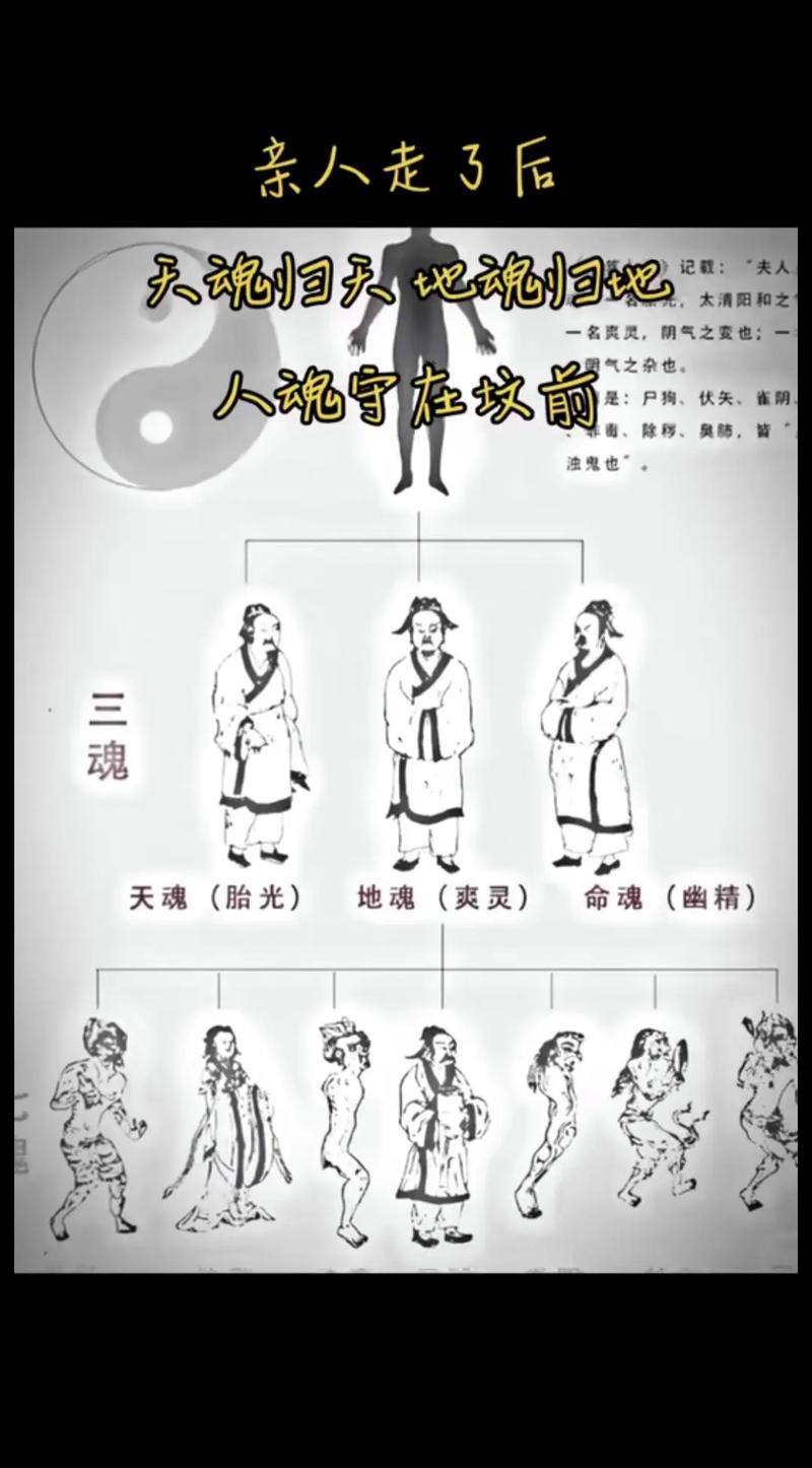 人死后与风水之间是否存在某种关联？