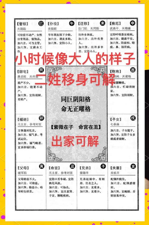 命无正曜的命盘具体含义是什么？