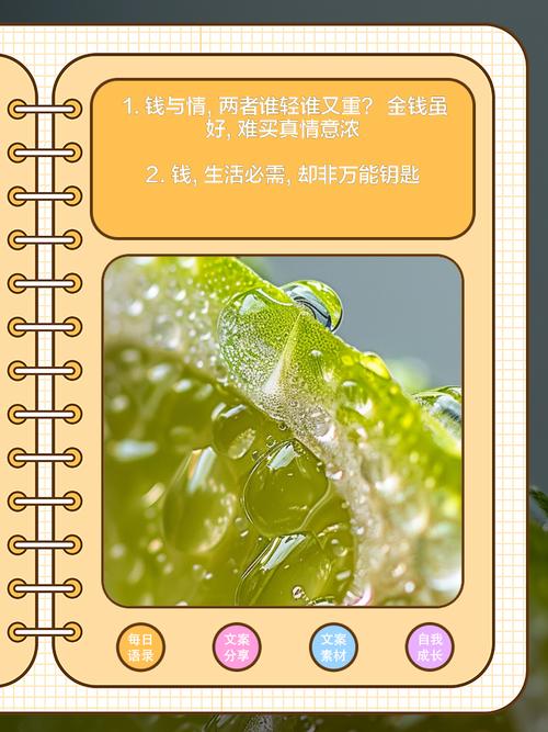 亲戚关系与金钱利益，哪个梗值得珍视？