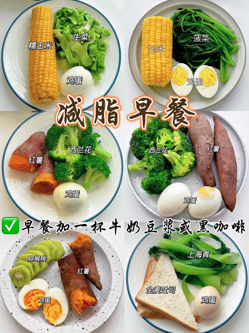 早餐你们通常都吃什么食物来补充能量呢？