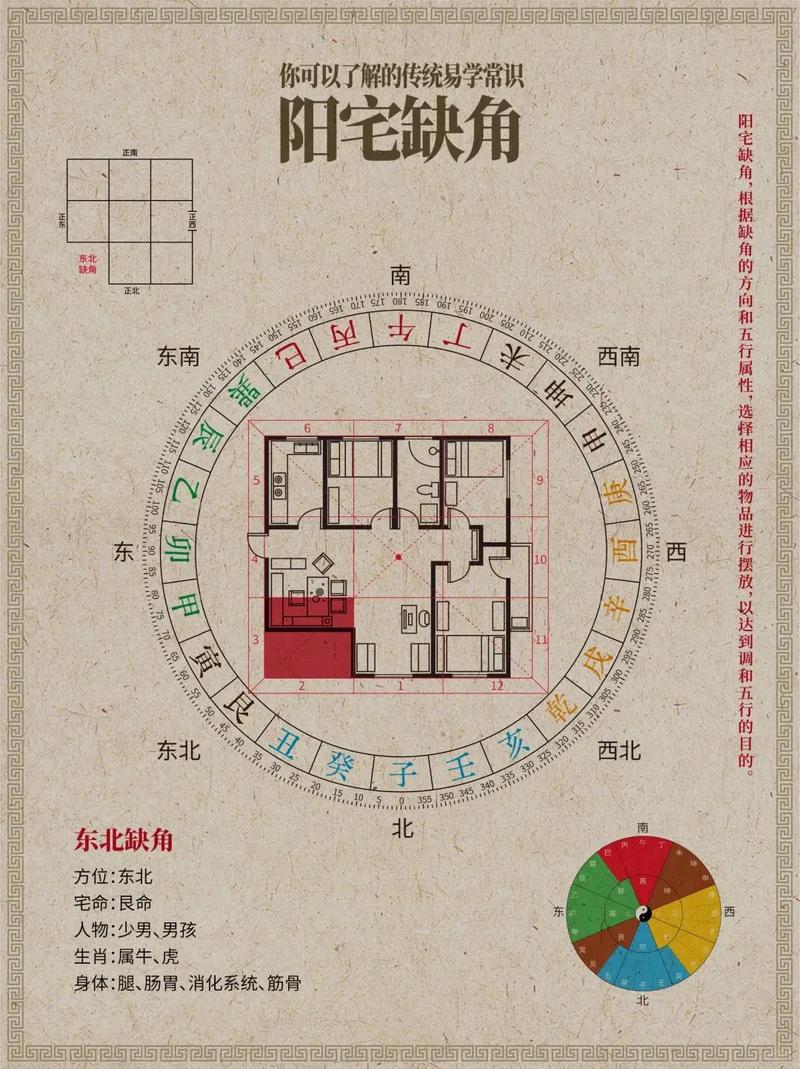在风水学中，主房窗外养鸽子是否符合吉利的布局原则呢？
