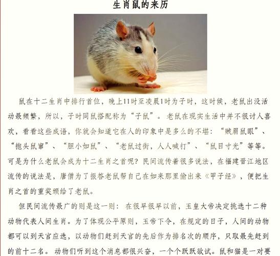 鼠鼠的命也是命，难道就不是生命的一部分吗？