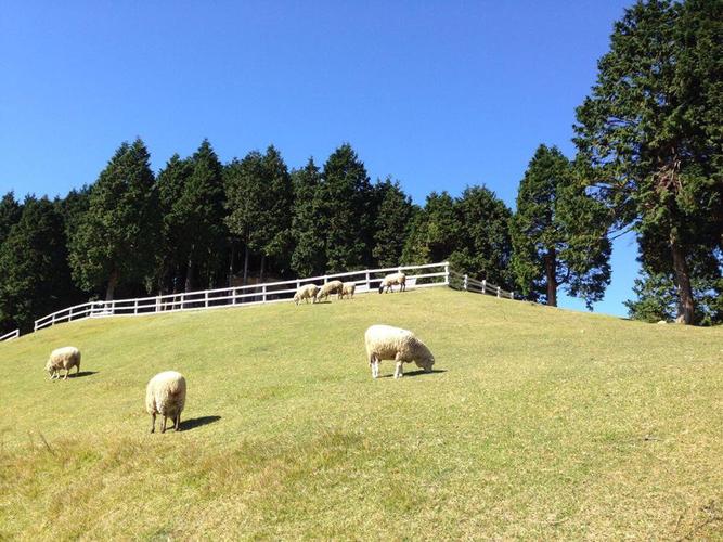 房屋风水对牧场养殖有怎样的影响呢？