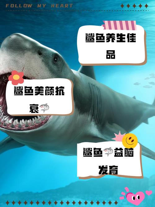 养沙鱼在风水上吉利吗？这地方适合养沙鱼吗？